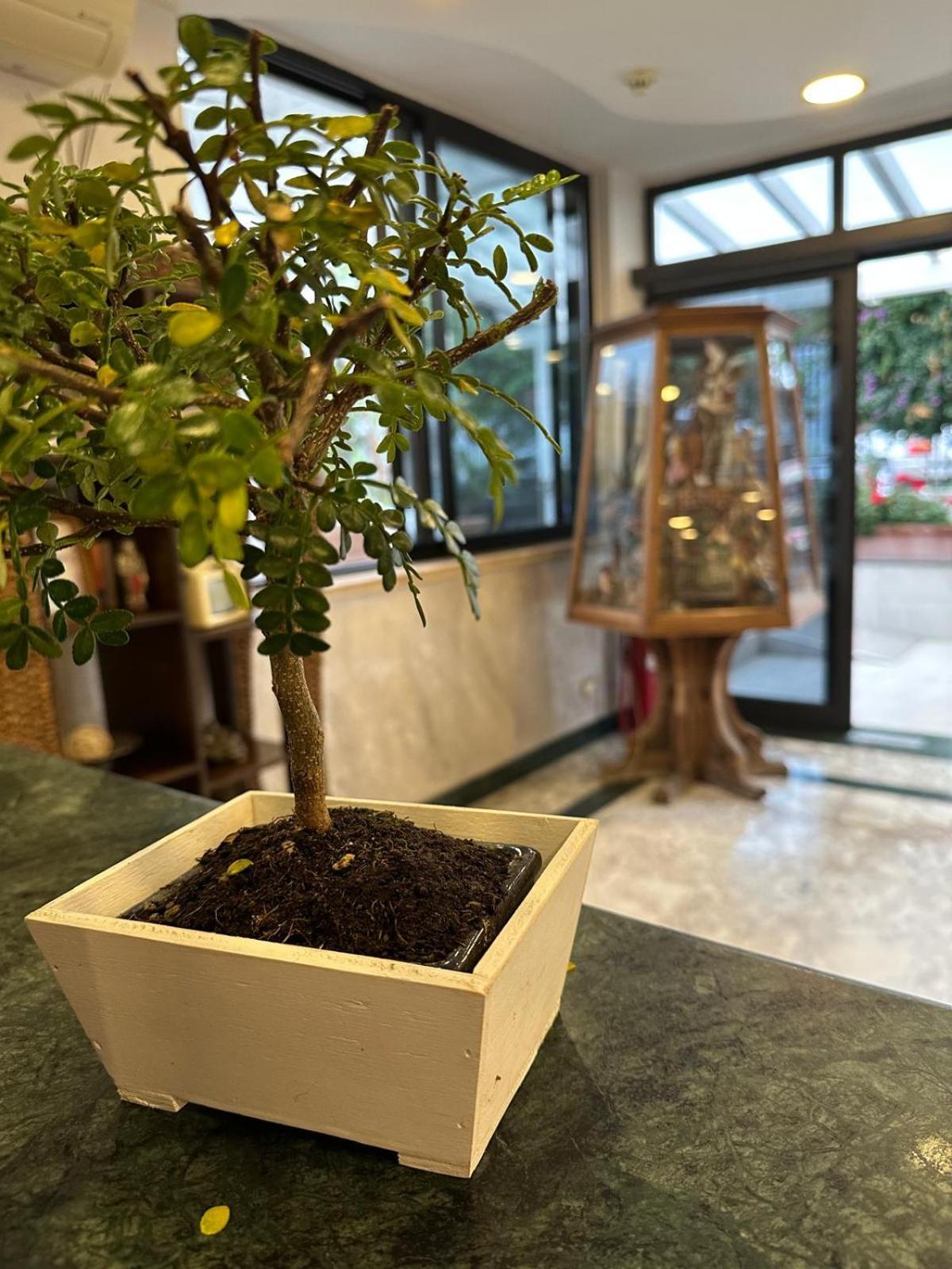 Hotel Clinton Casoria Εξωτερικό φωτογραφία